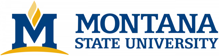 Montana_State_University_logo.svg