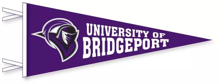 University of Bridgeport logo